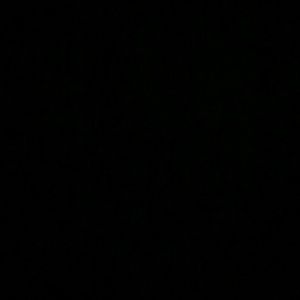 Meet your Posher, Shane